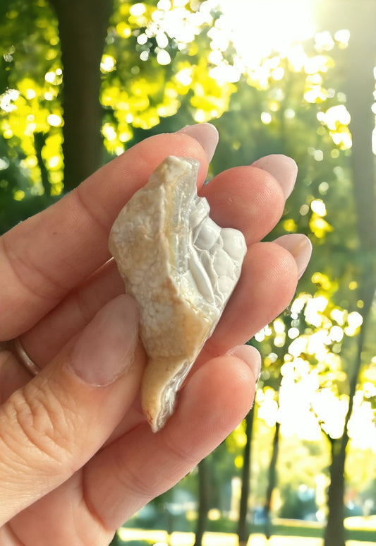 Bubbly Agate STUNNING!