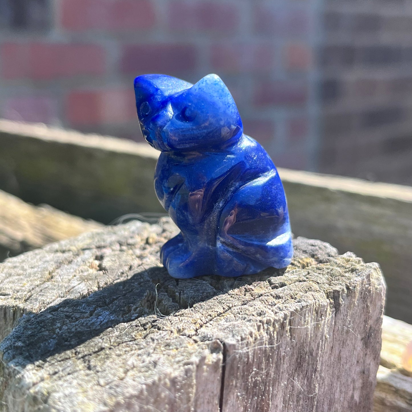 Cat Carvings