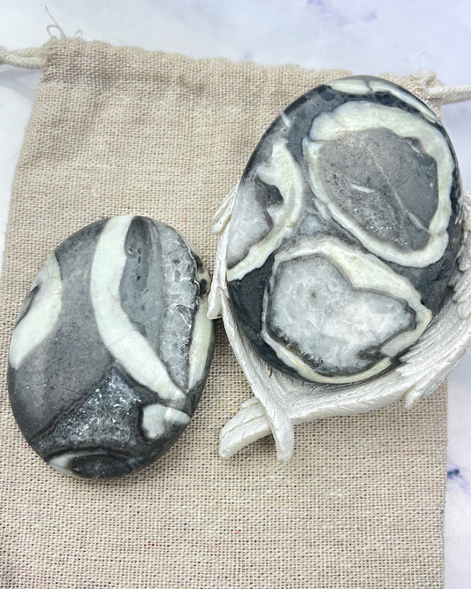 Shell Jasper Flat Palms