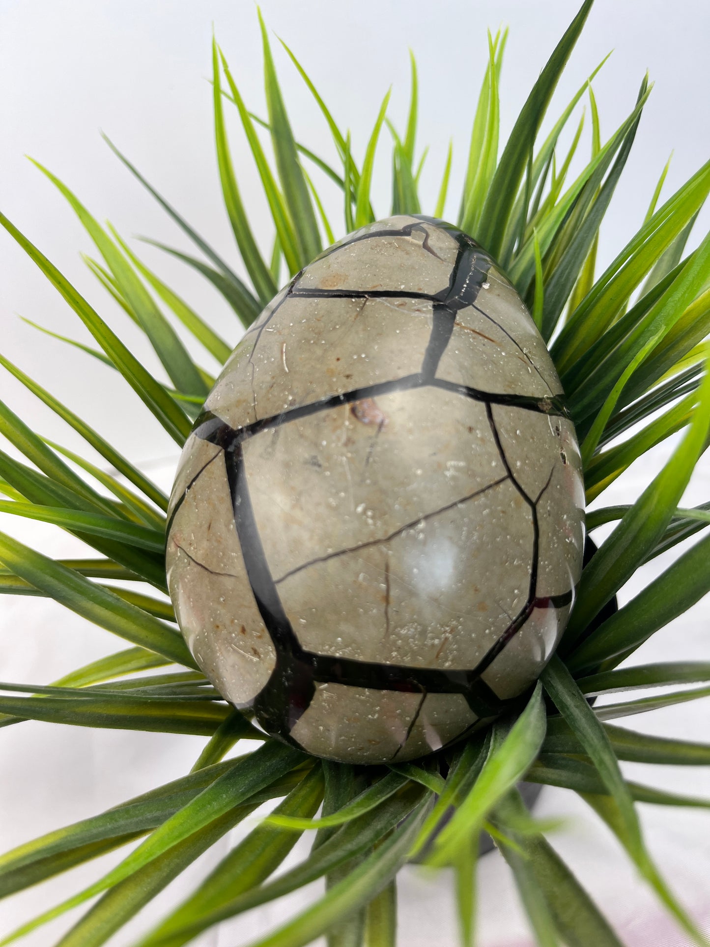 Septarian Eggs