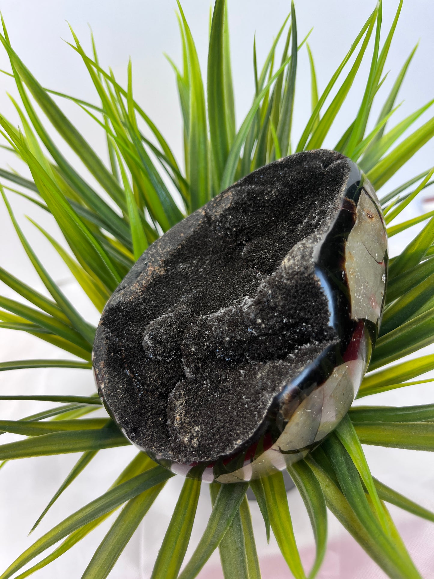Septarian Eggs