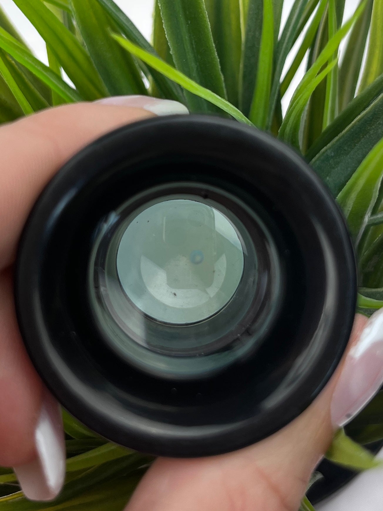Opalite Egg