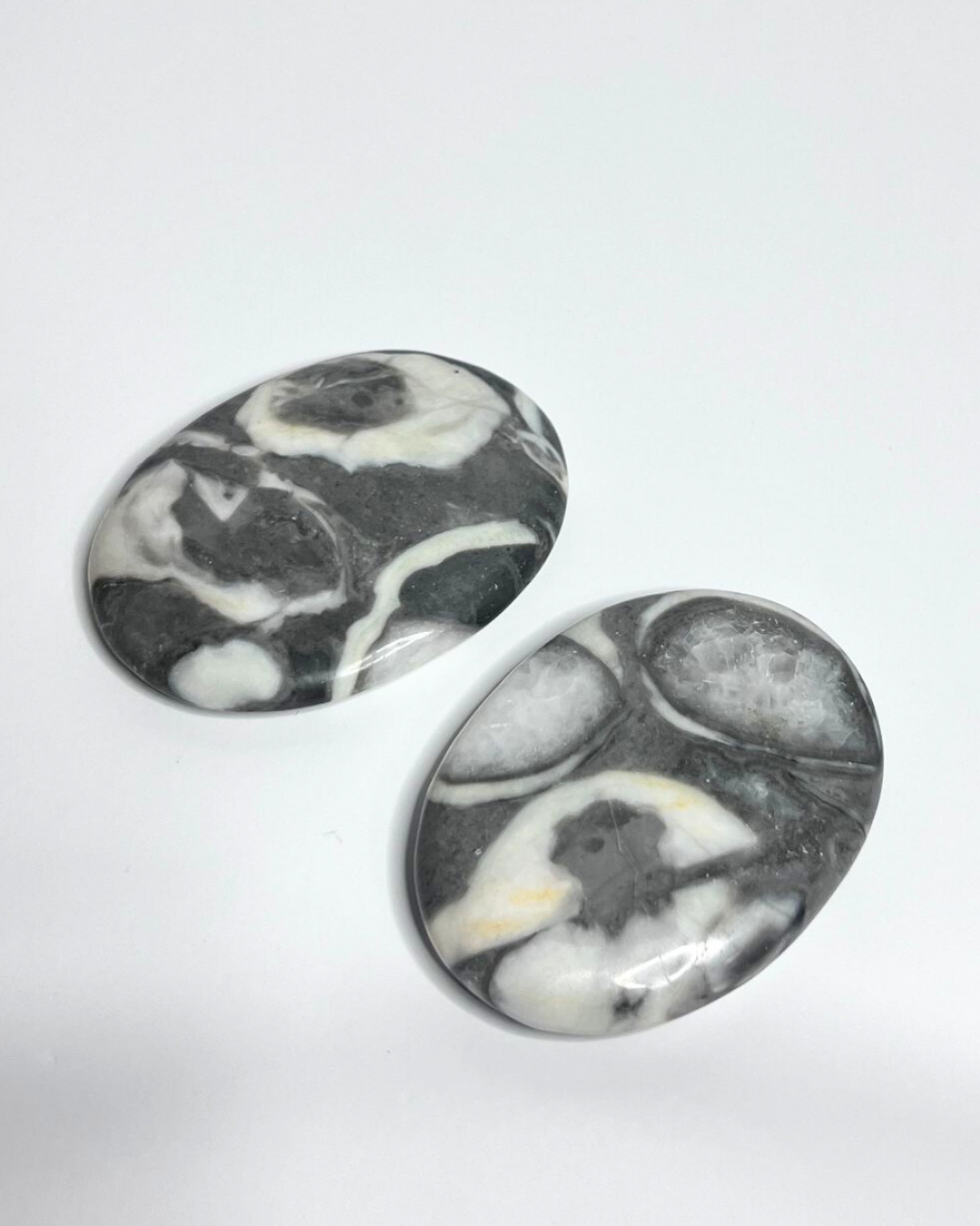 Shell Jasper Flat Palms