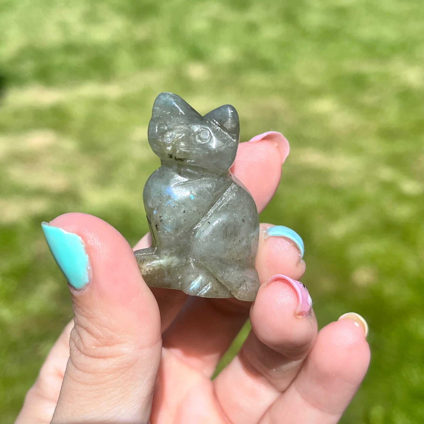 Cat Carvings